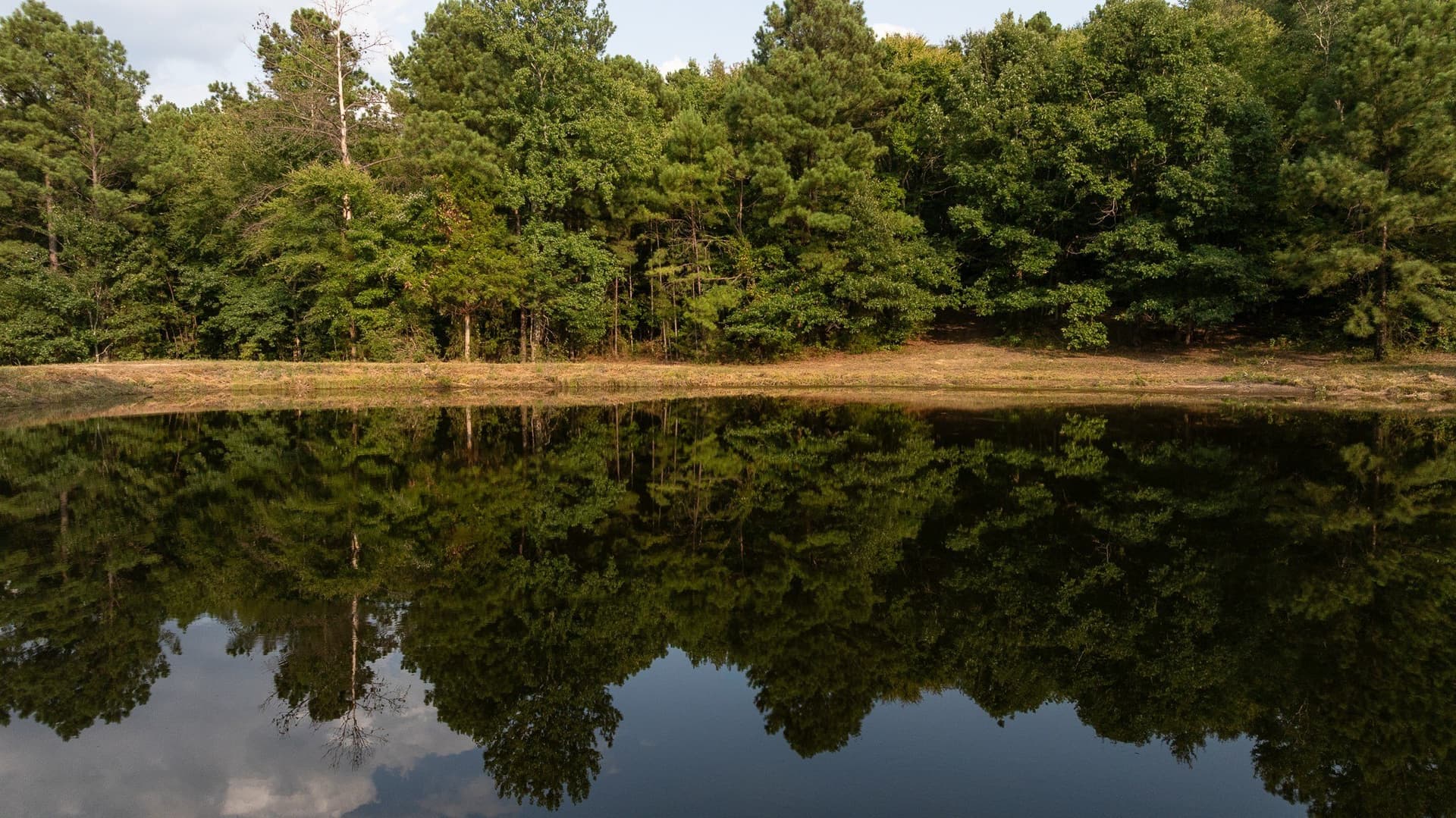 119 acres in Smith County - photo 24