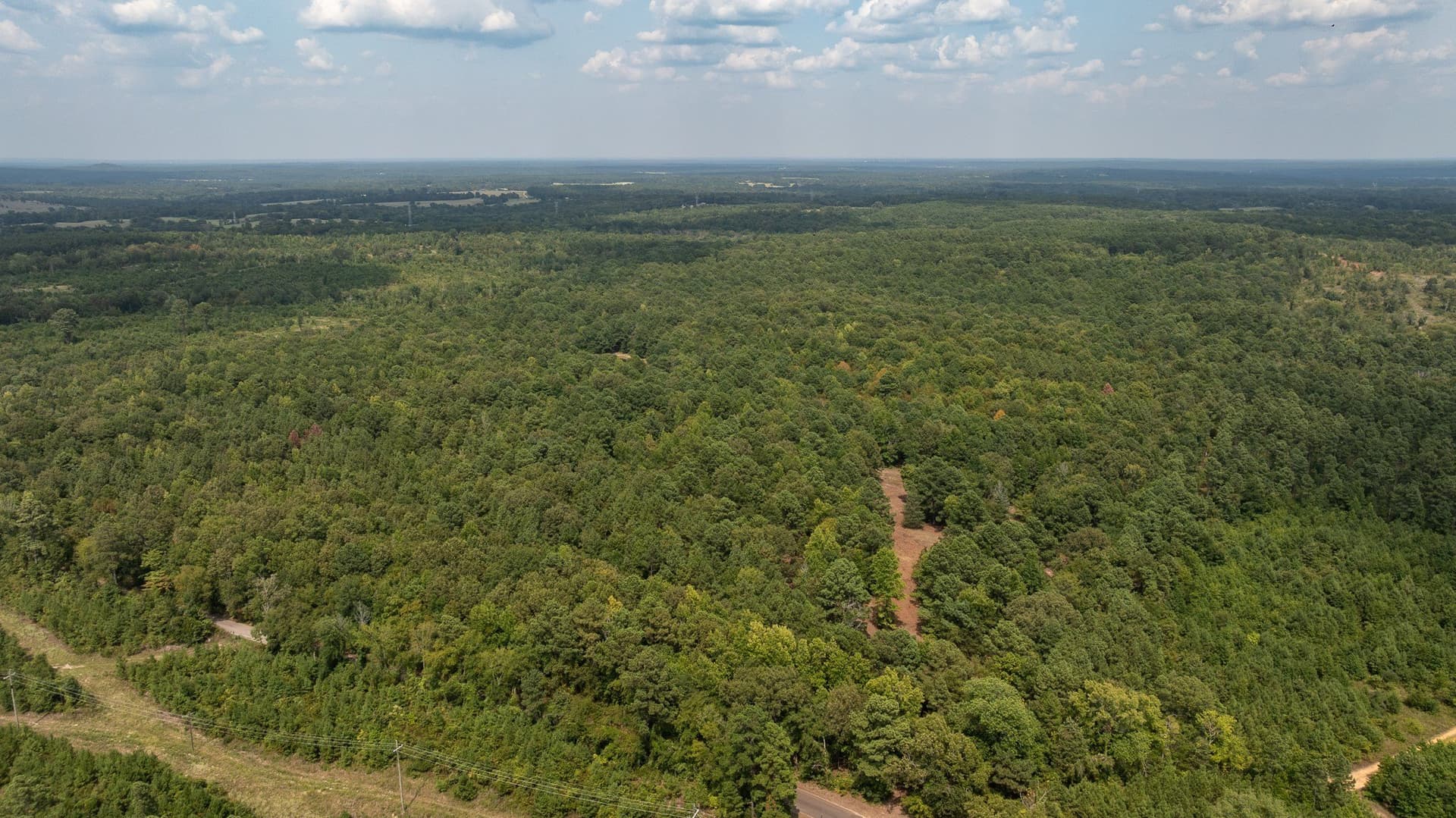 119 acres in Smith County - photo 7