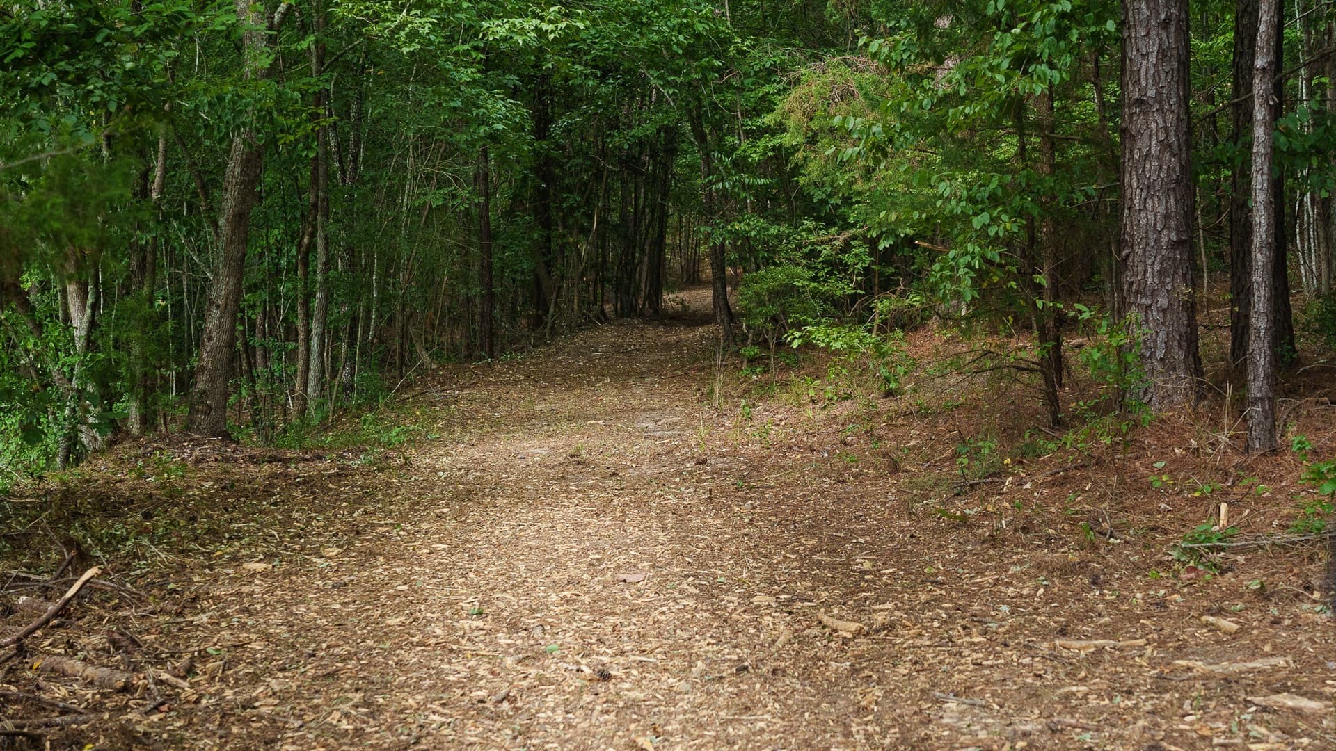 119 acres in Smith County - photo 14