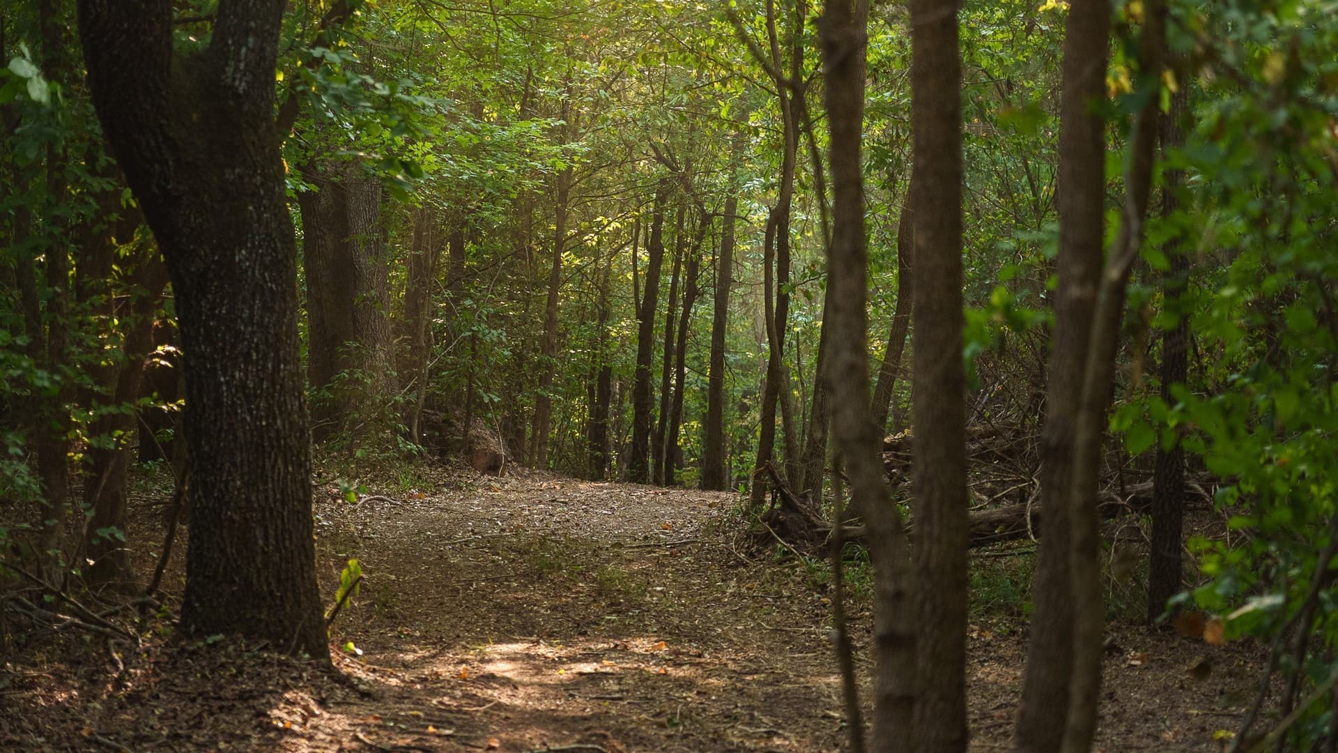 119 acres in Smith County