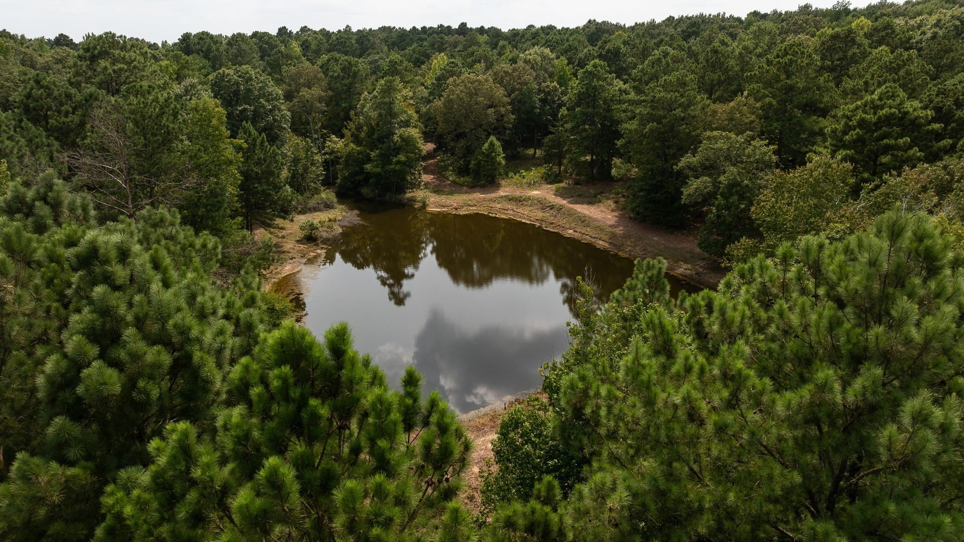 119 acres in Smith County - photo 4