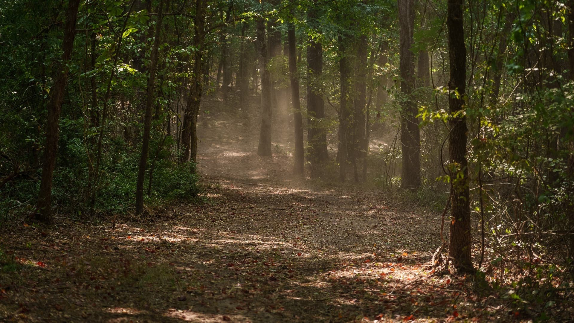 119 acres in Smith County - photo 28