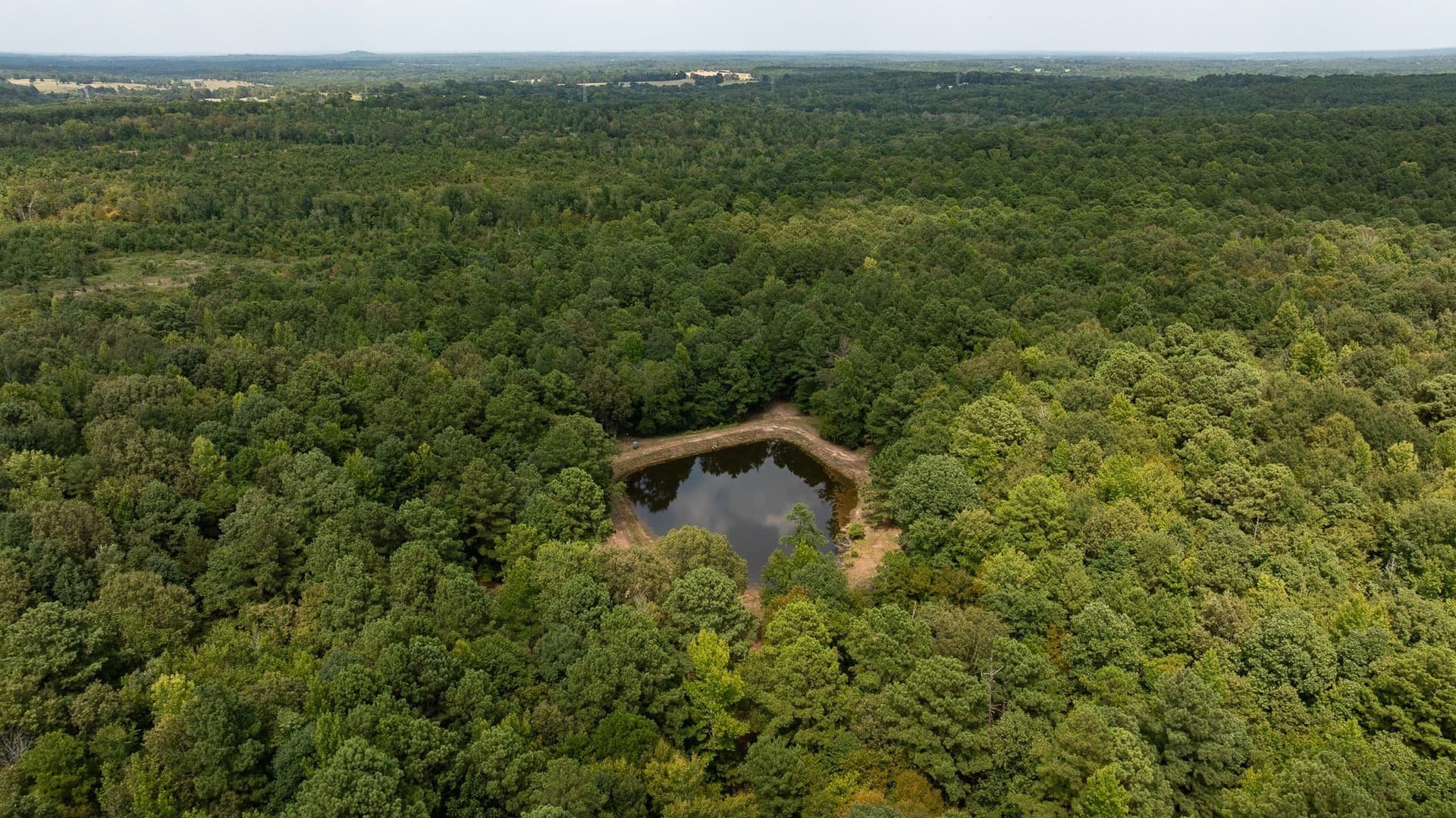 119 acres in Smith County - photo 5