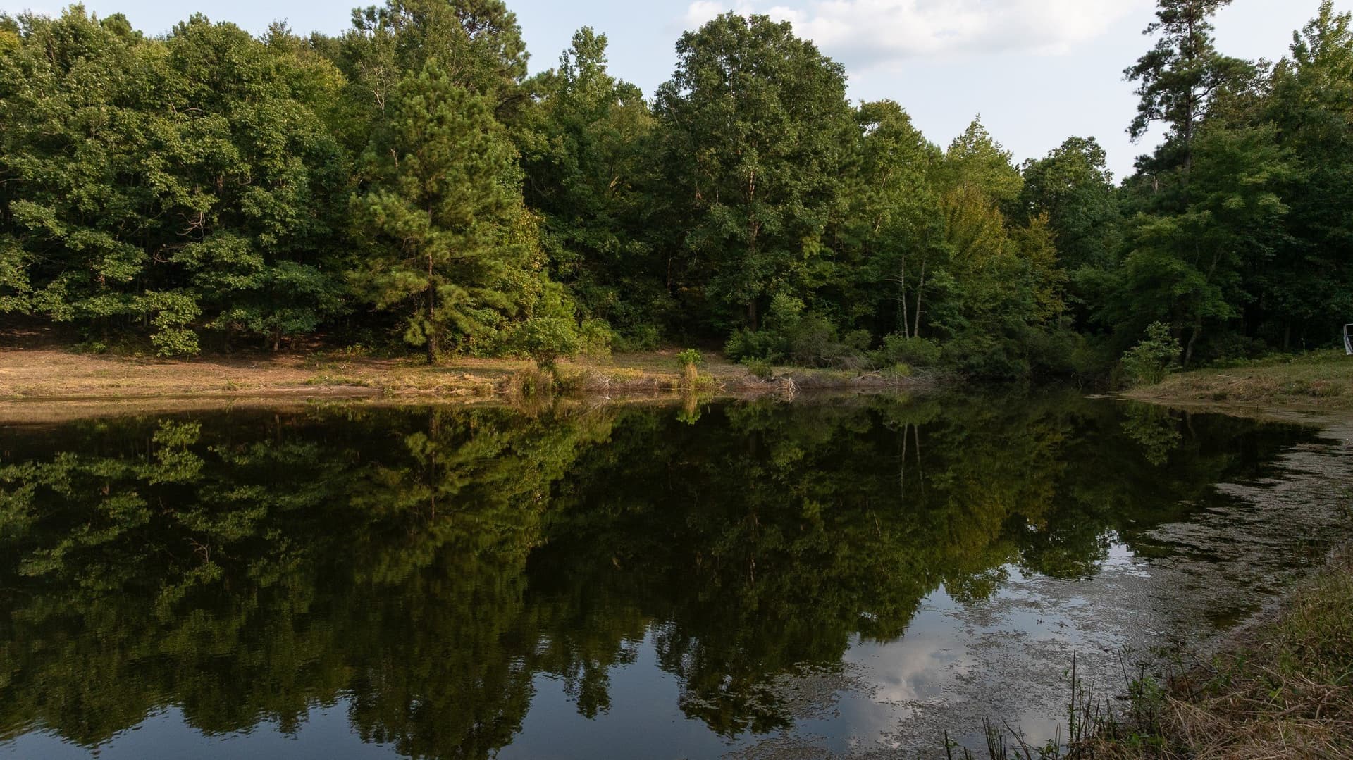 119 acres in Smith County - photo 25