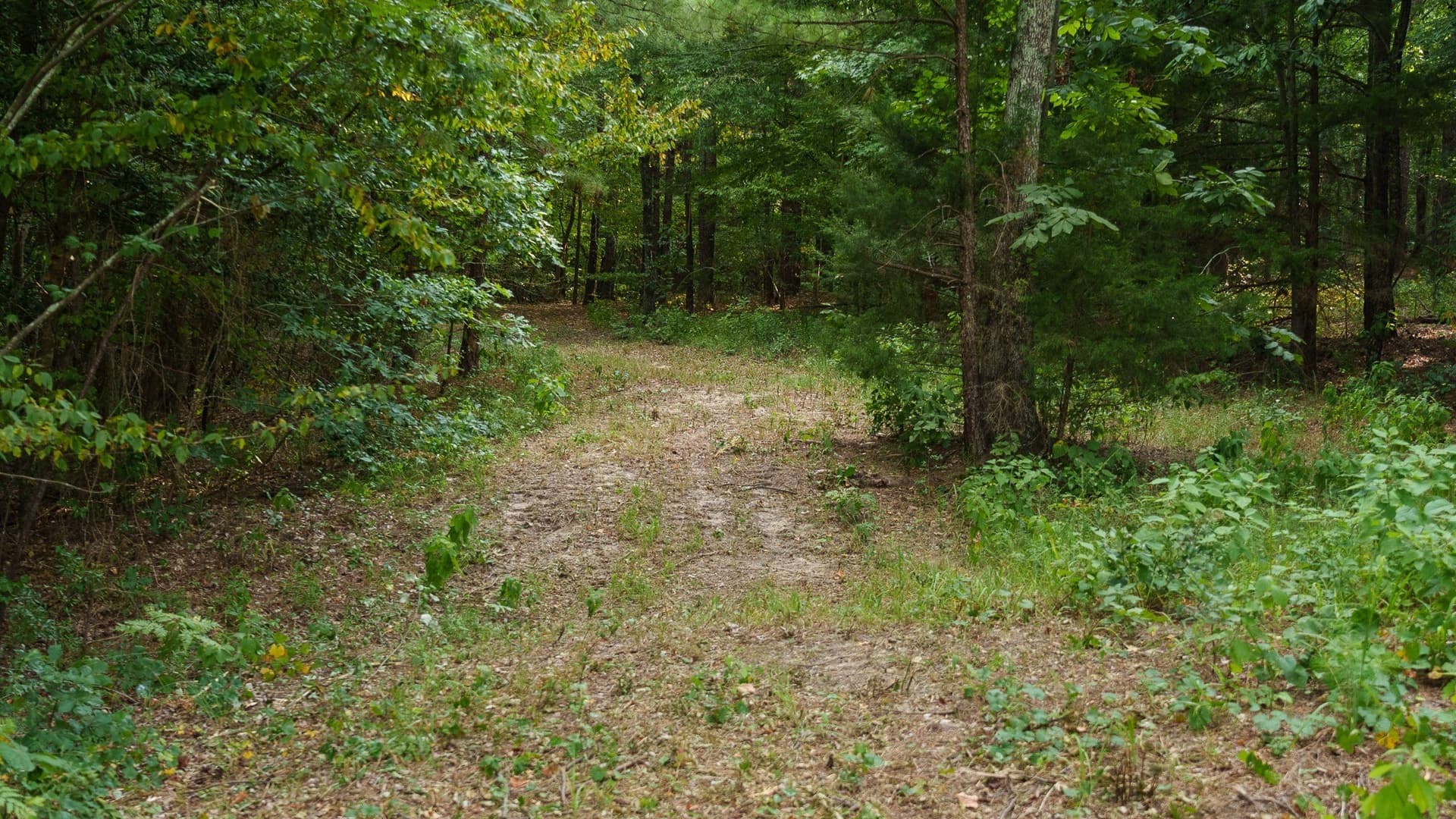 119 acres in Smith County - photo 30