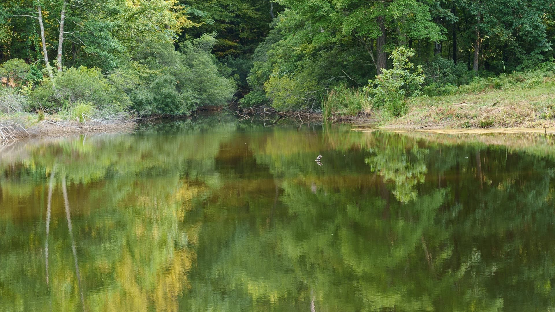 119 acres in Smith County - photo 22