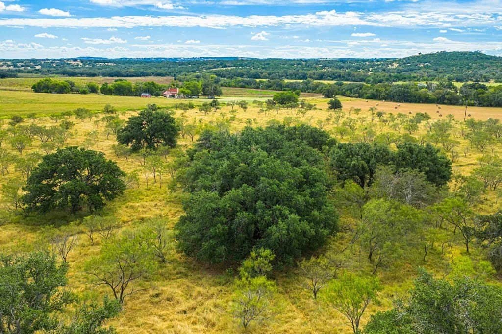 32.35 acres in Gillespie County gallery image 2