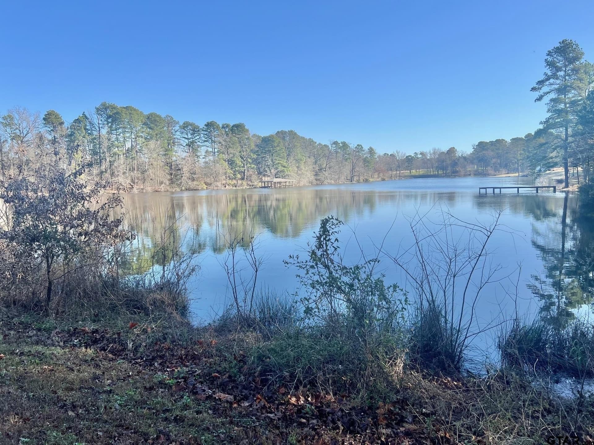166.63 acres in Titus County