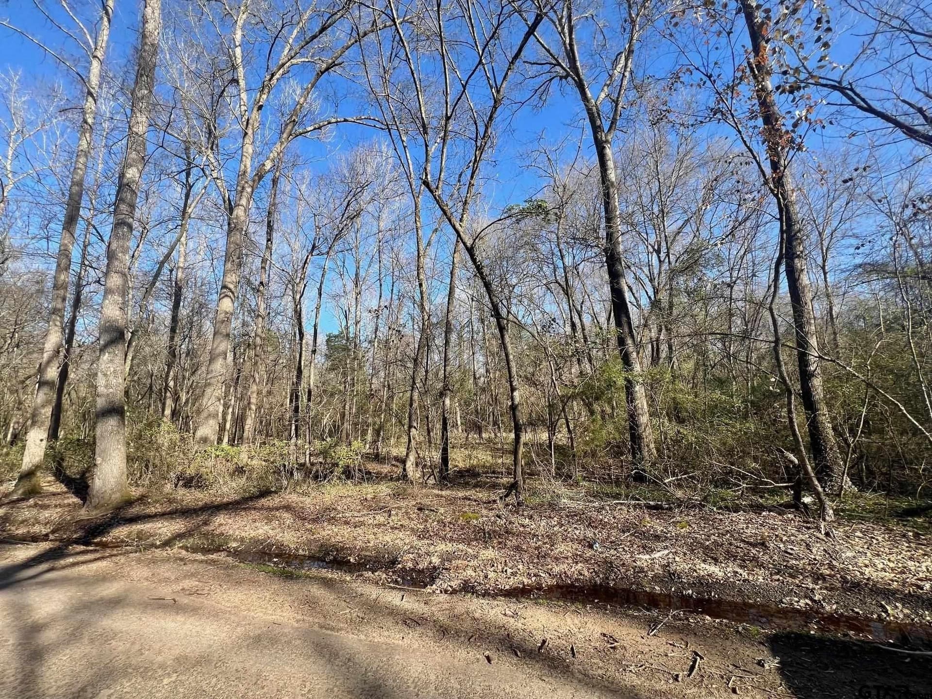 166.63 acres in Titus County - photo 8