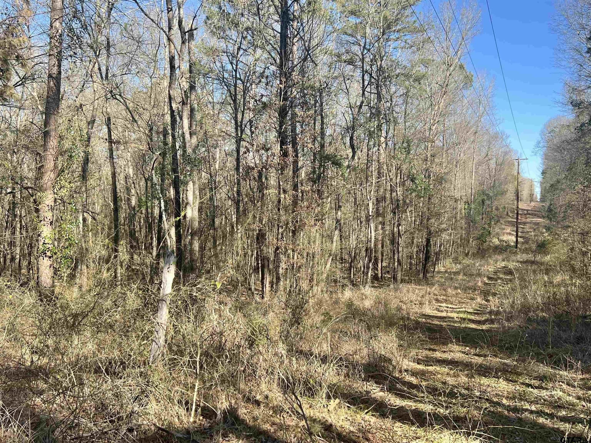 166.63 acres in Titus County - photo 11