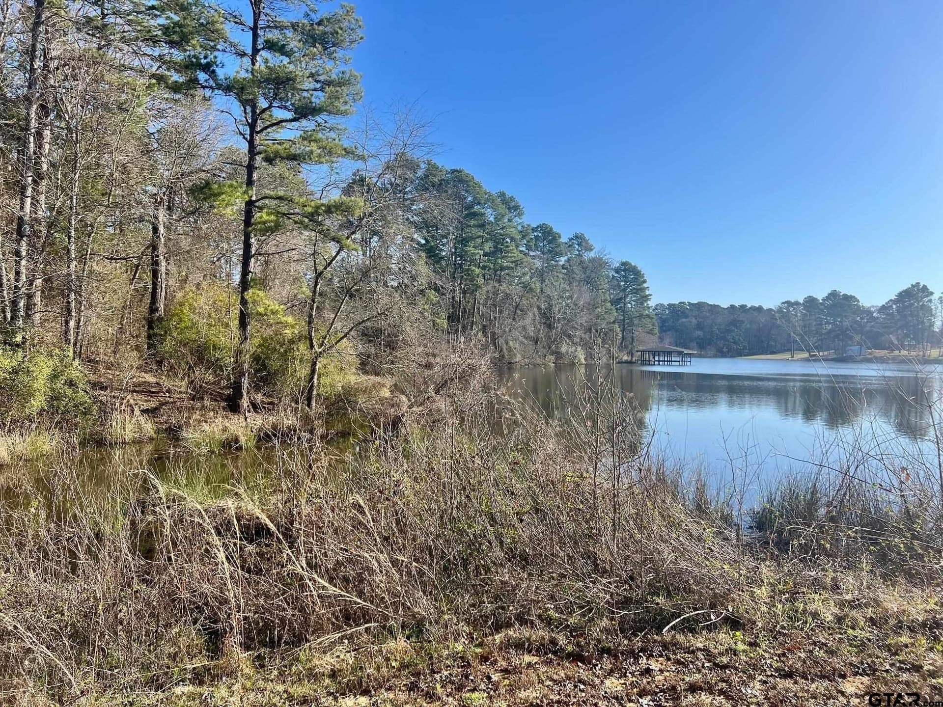 166.63 acres in Titus County - photo 10