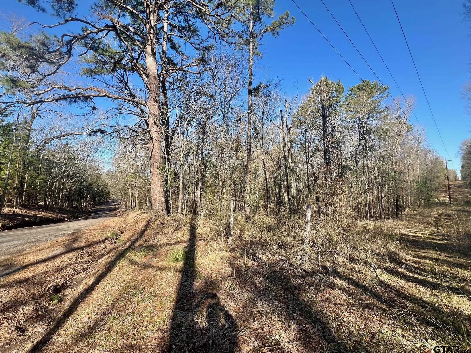166.63 acres in Titus County featured view
