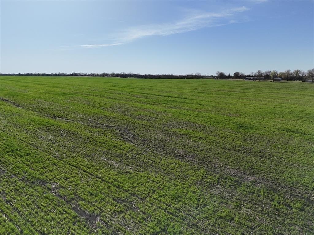 41.79 acres in Delta County gallery image 4