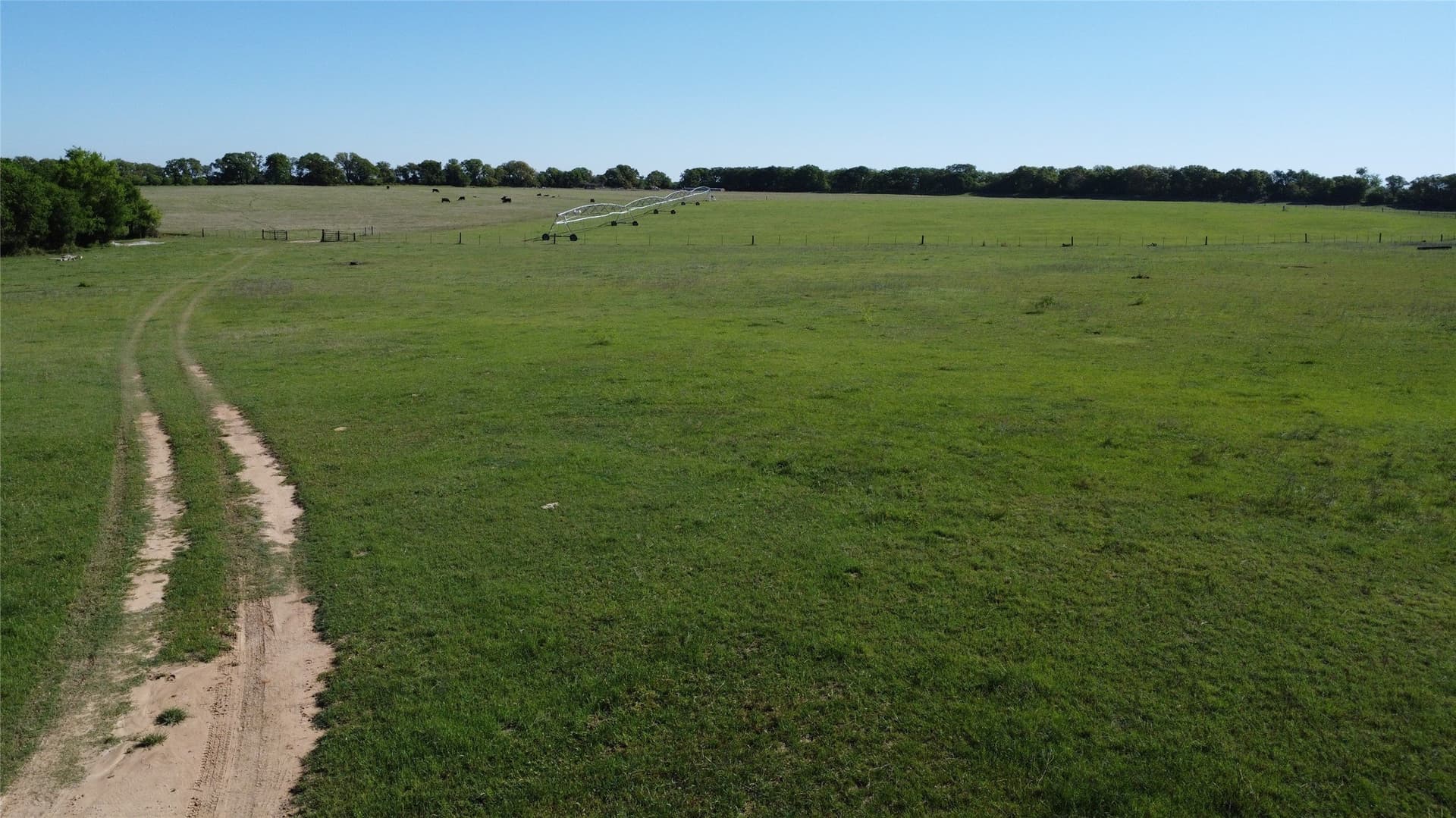 74.55 acres in Comanche County gallery image 4