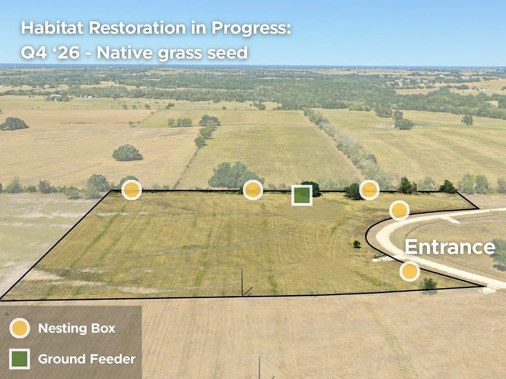 8.75 acres in Fayette County - photo 2
