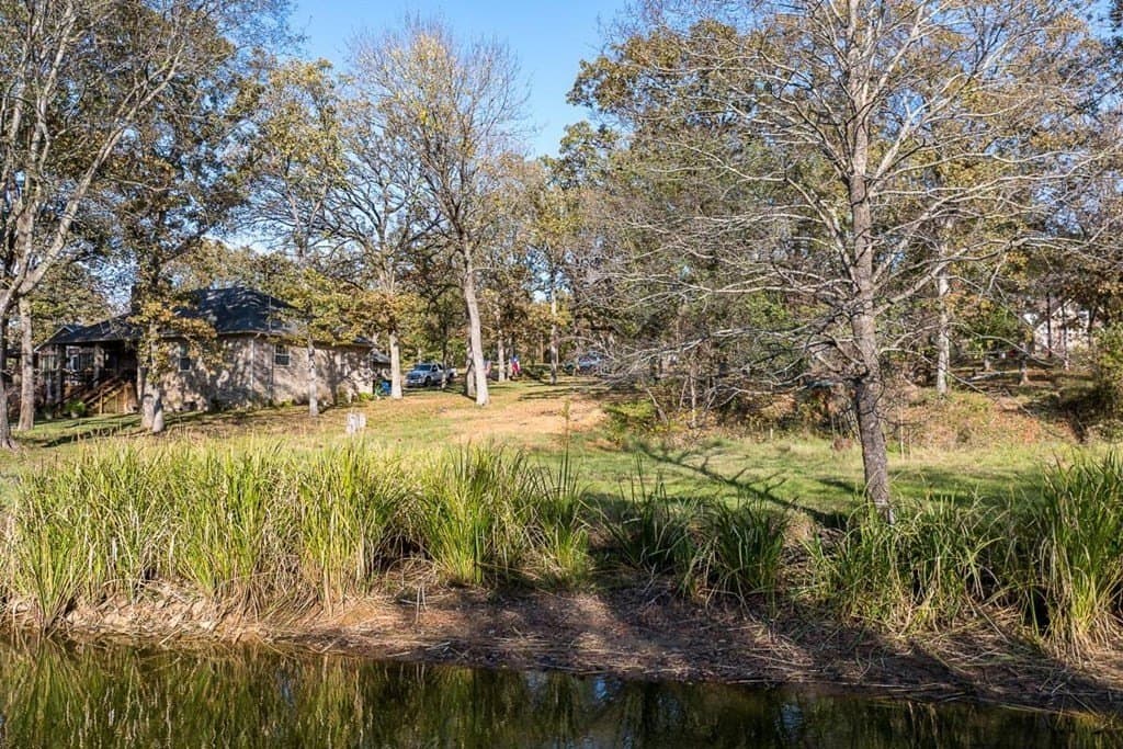 0.3 acres in Henderson County - photo 10