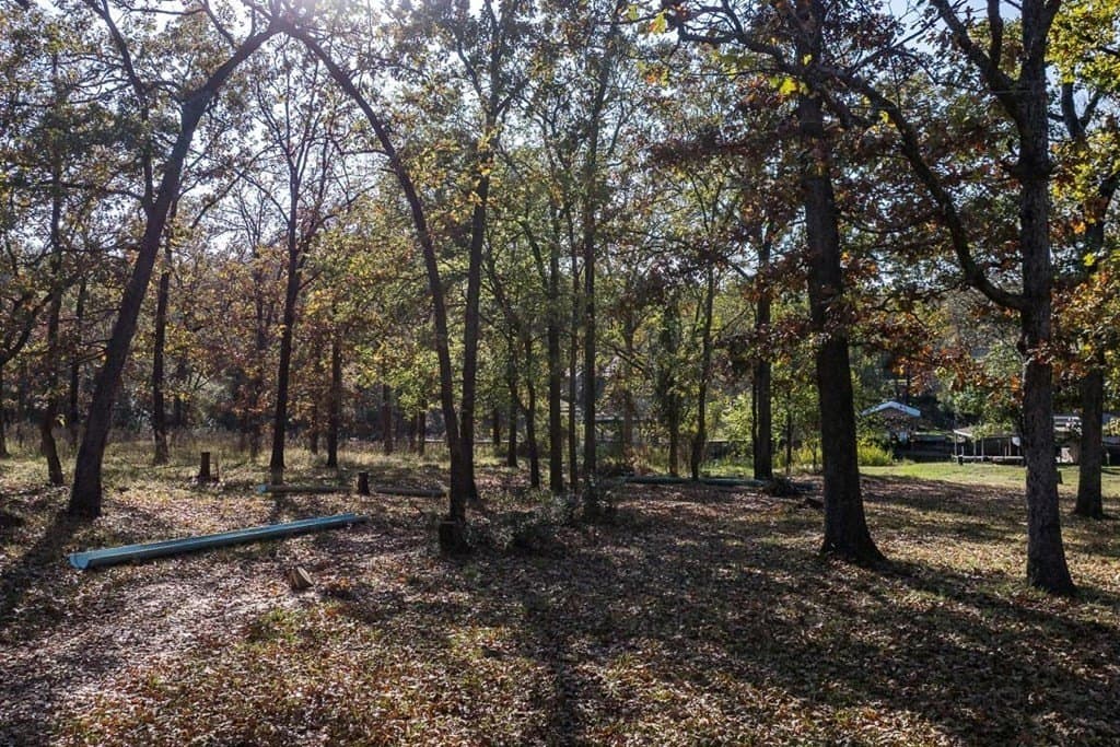 0.3 acres in Henderson County - photo 7