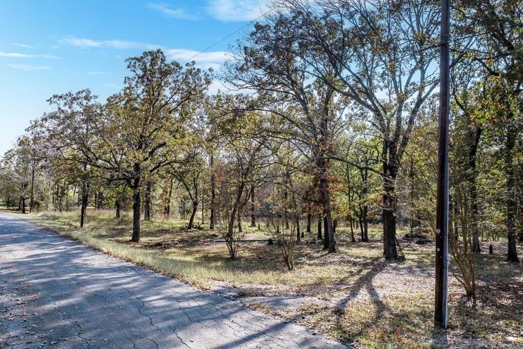 0.3 acres in Henderson County - photo 6