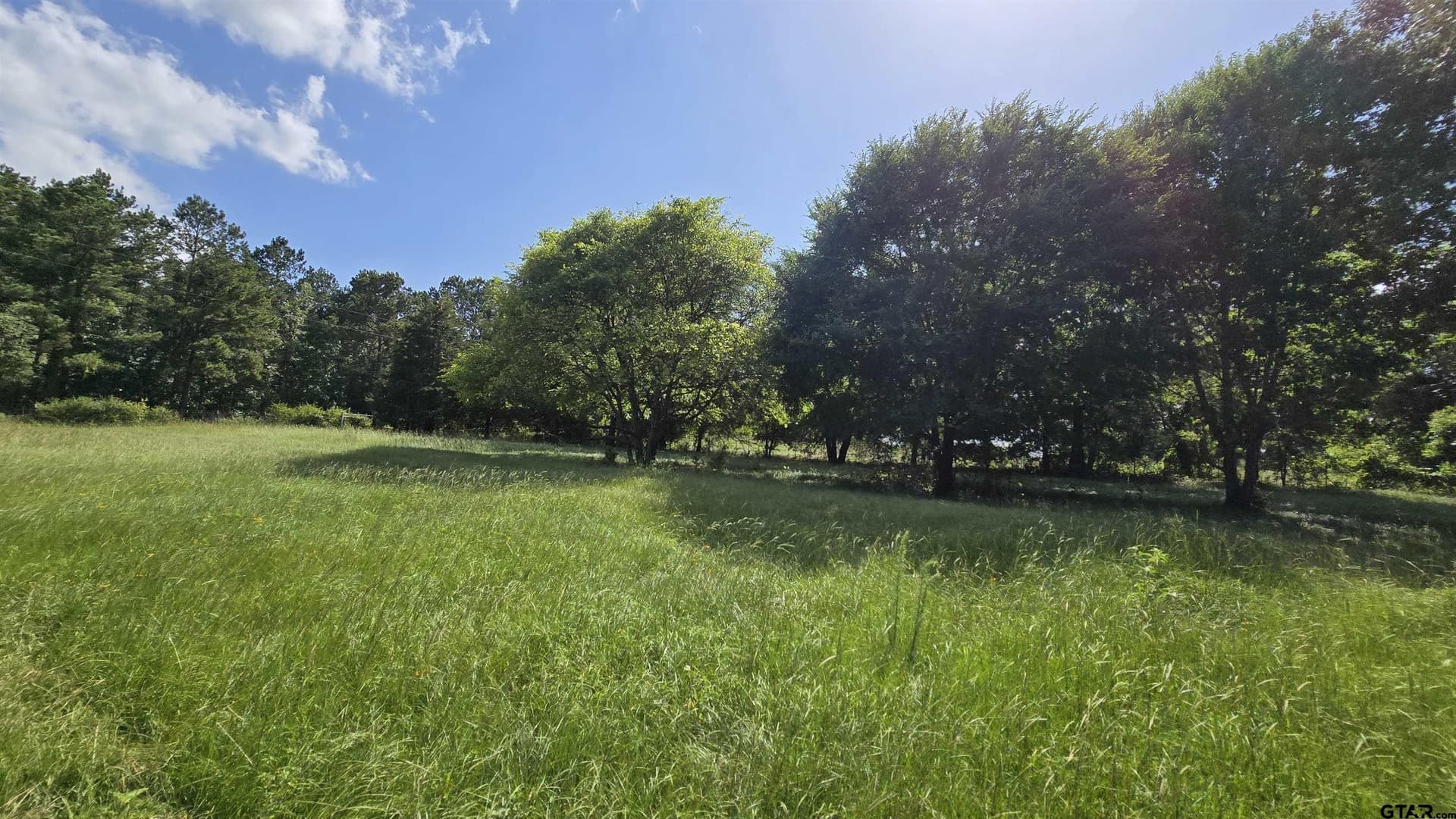 3 acres in Smith County - photo 17