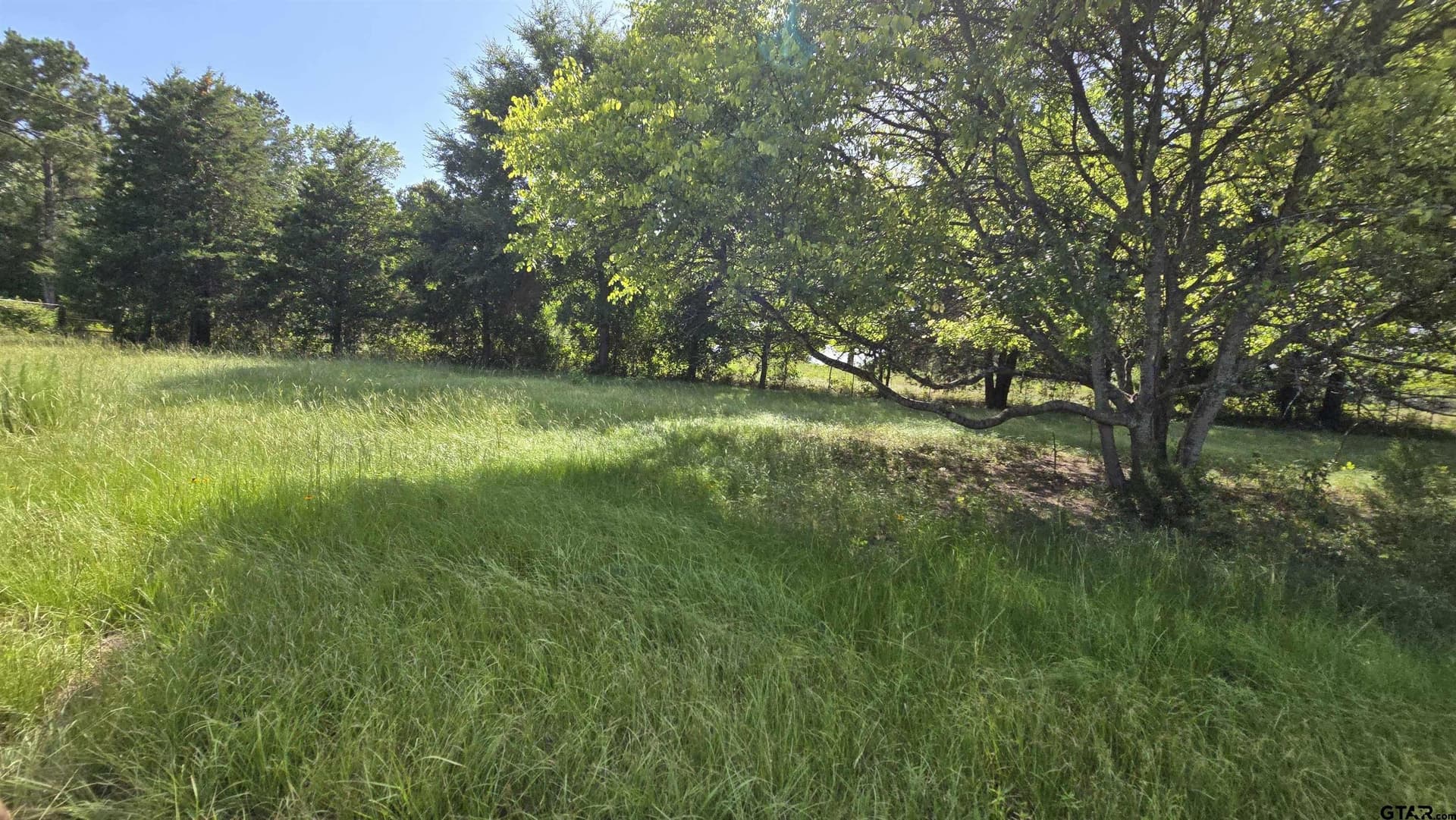 3 acres in Smith County - photo 7