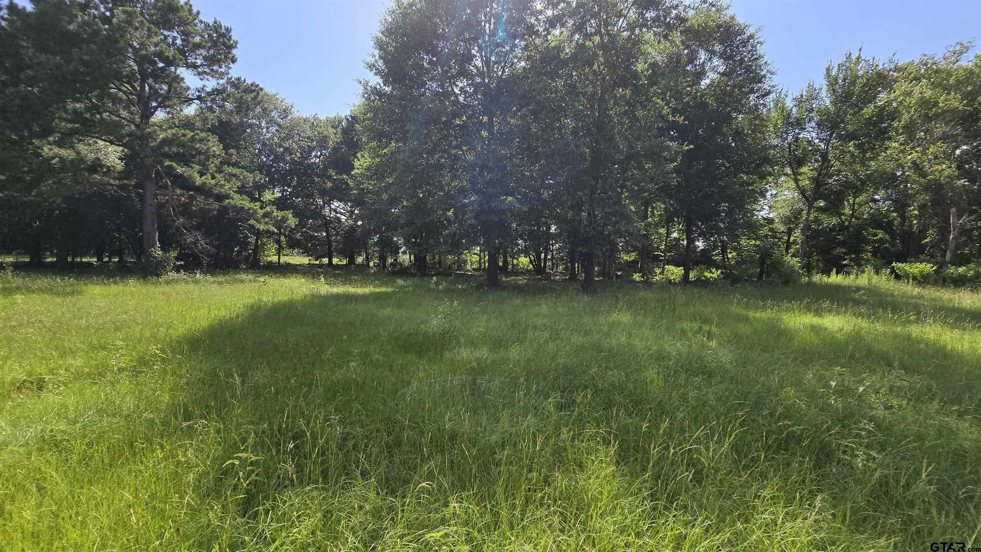 3 acres in Smith County - photo 5