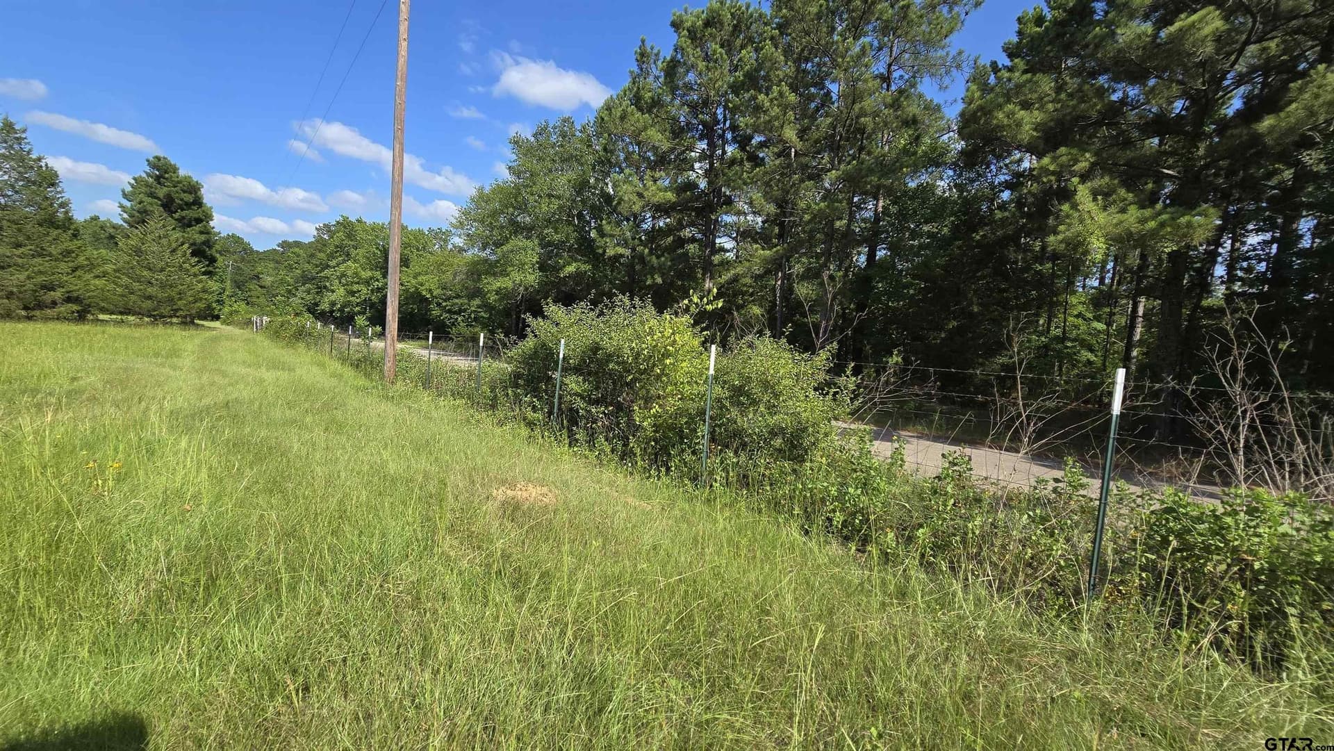 3 acres in Smith County - photo 9