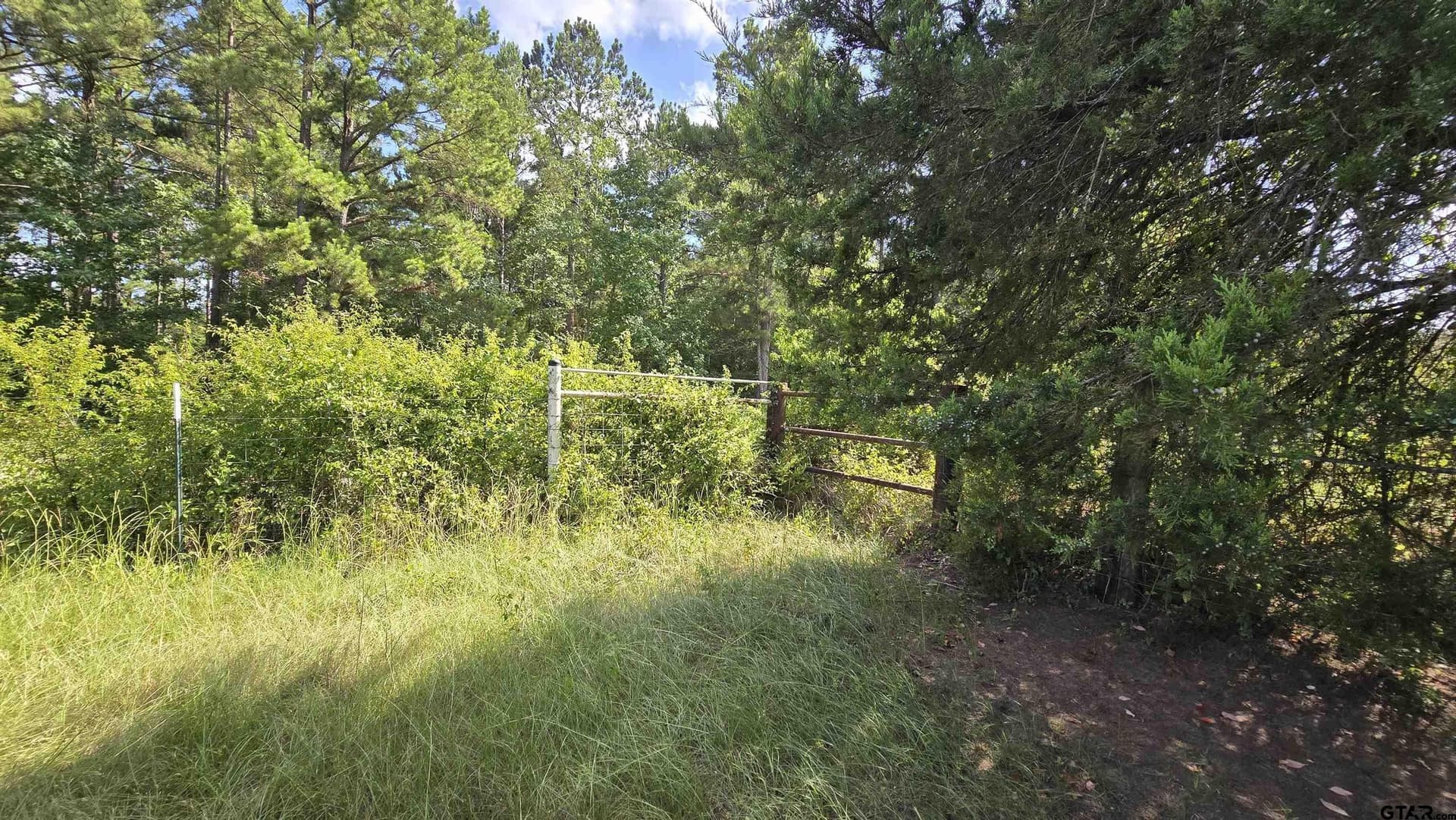 3 acres in Smith County - photo 8
