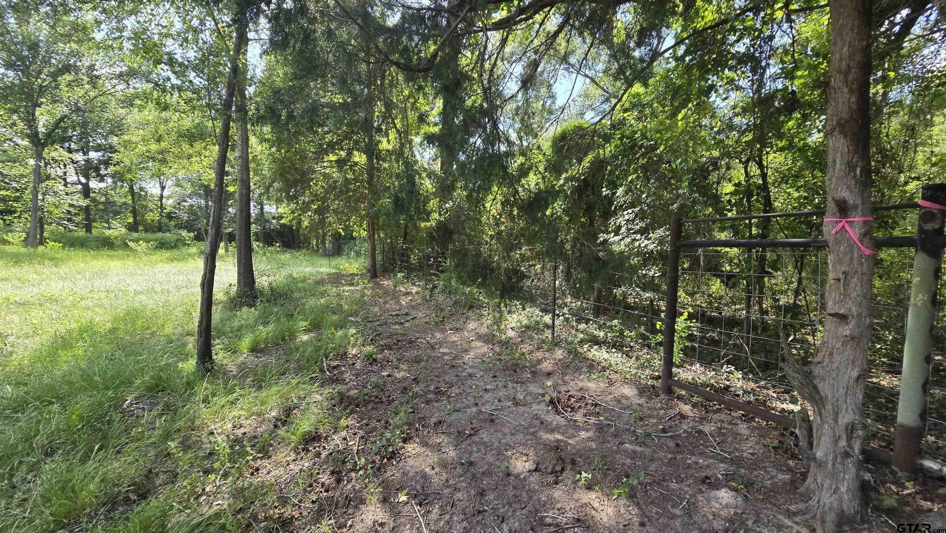 3 acres in Smith County - photo 13