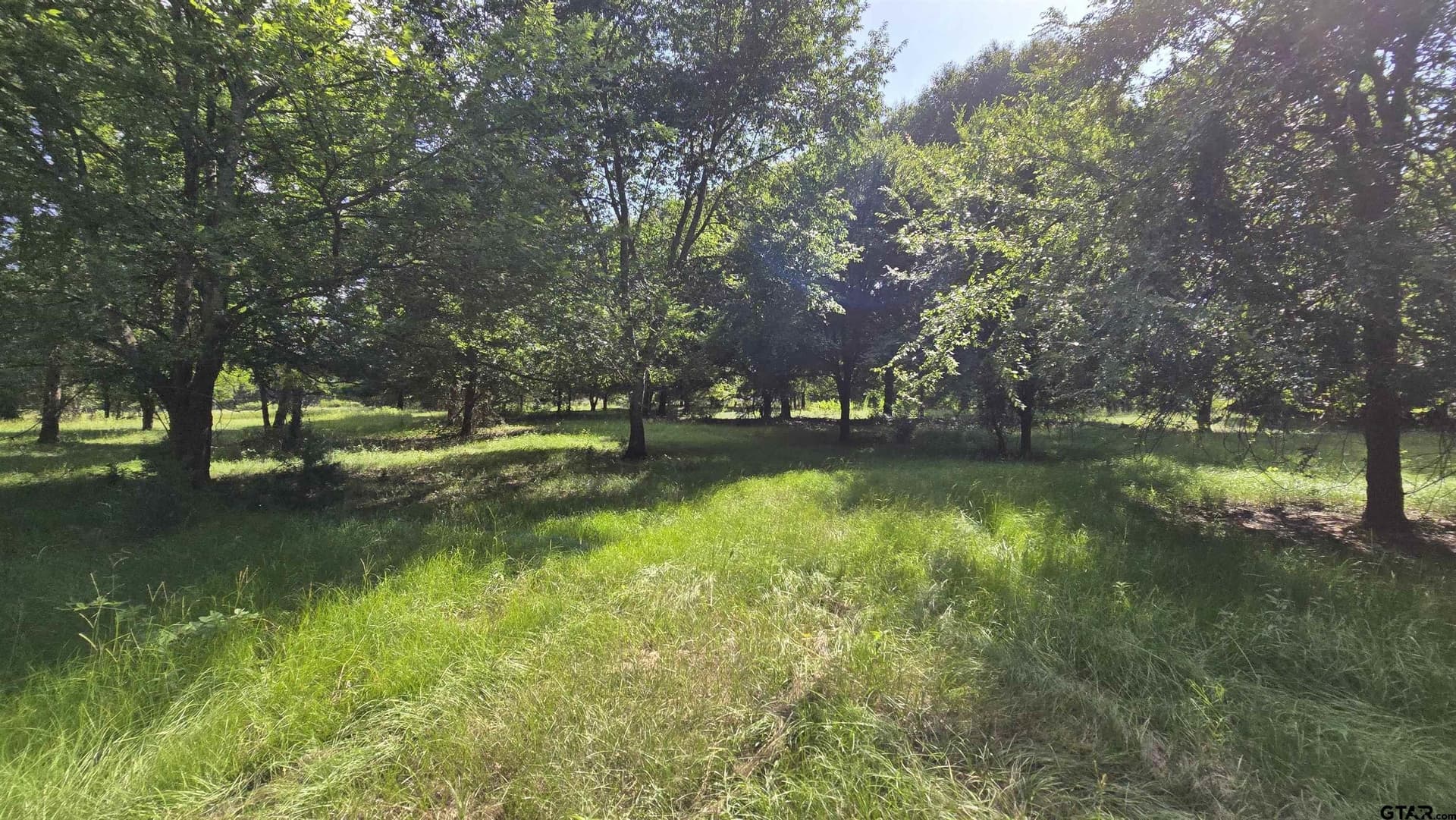 3 acres in Smith County - photo 16