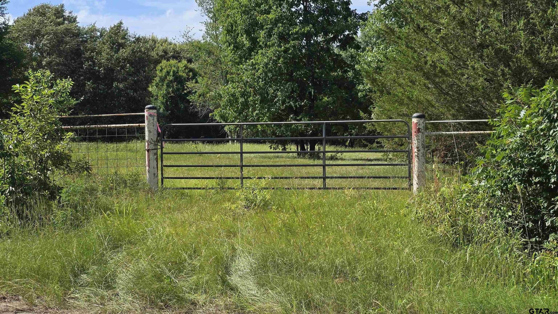 3 acres in Smith County - photo 10