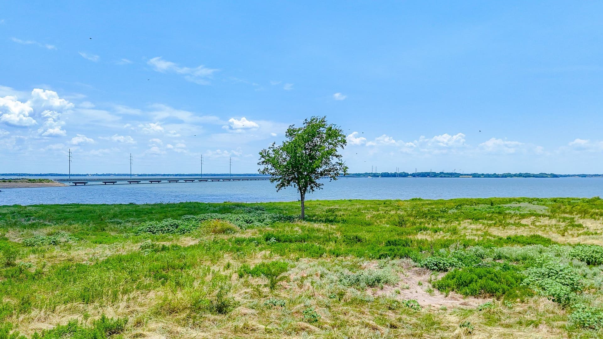 1.32 acres in Navarro County gallery image 2