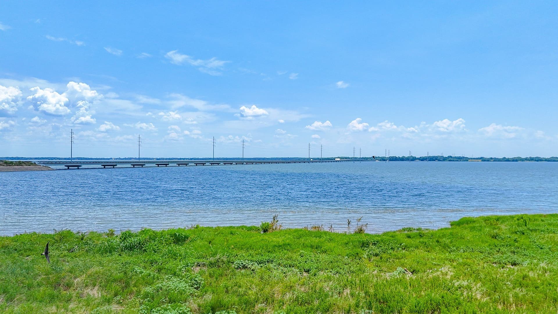 1.32 acres in Navarro County - photo 14
