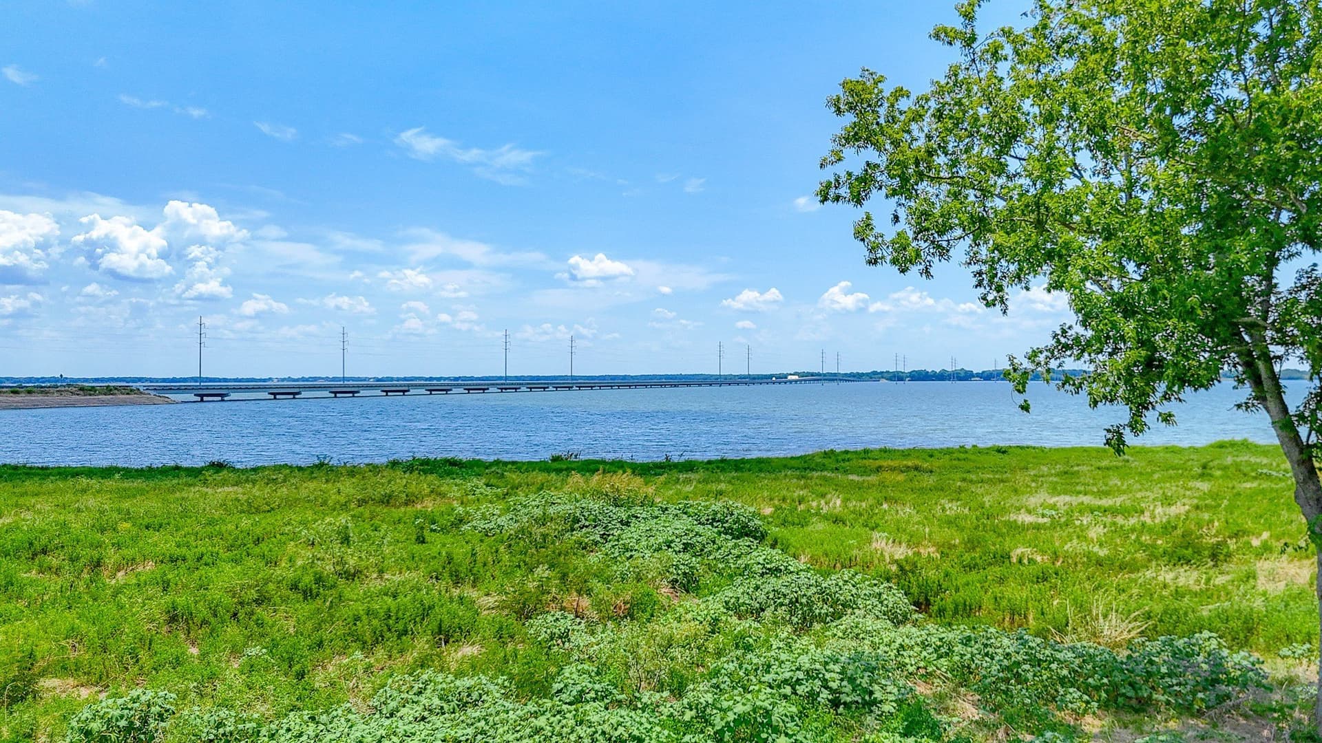 1.32 acres in Navarro County gallery image 3