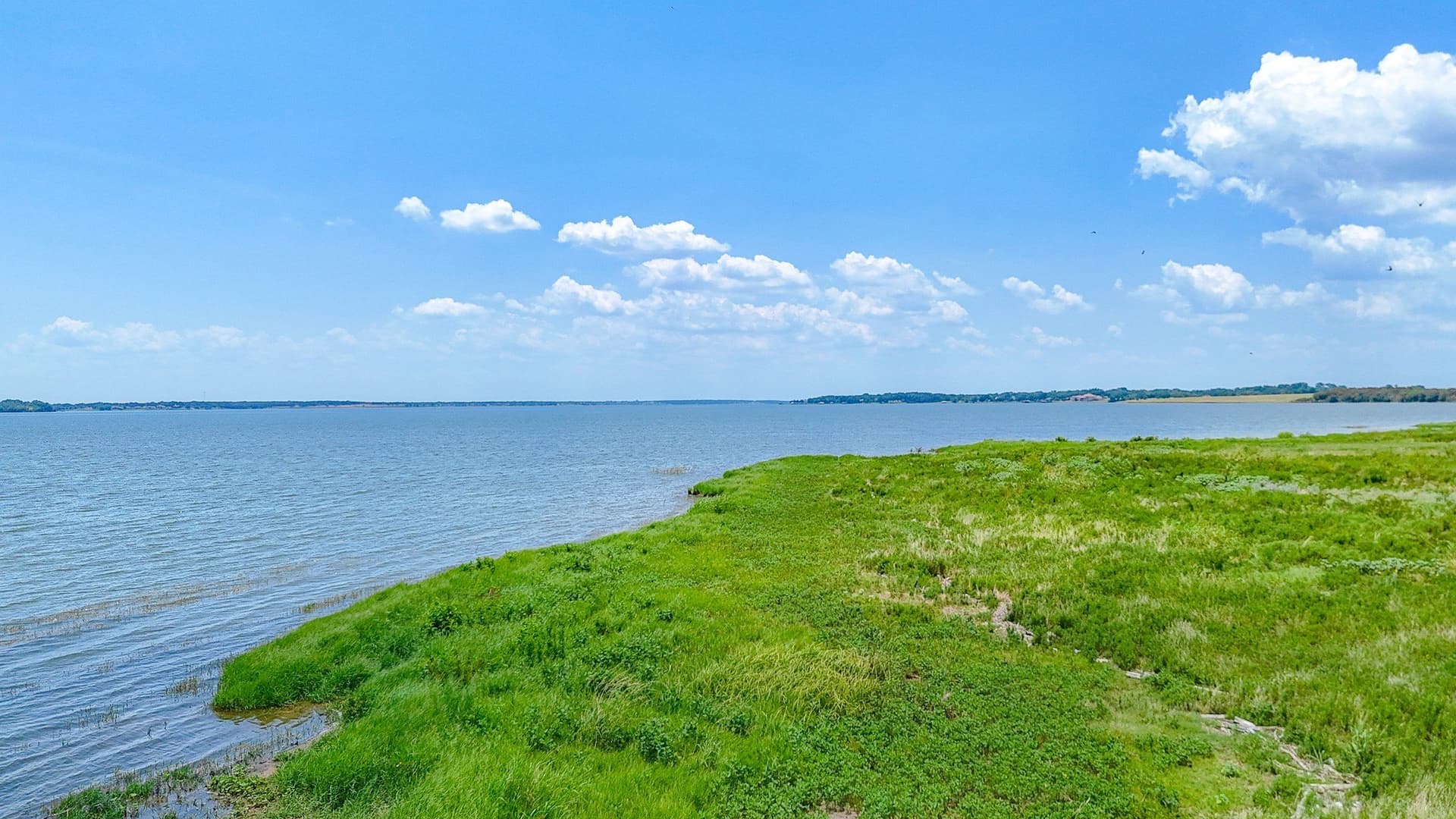 1.32 acres in Navarro County - photo 12