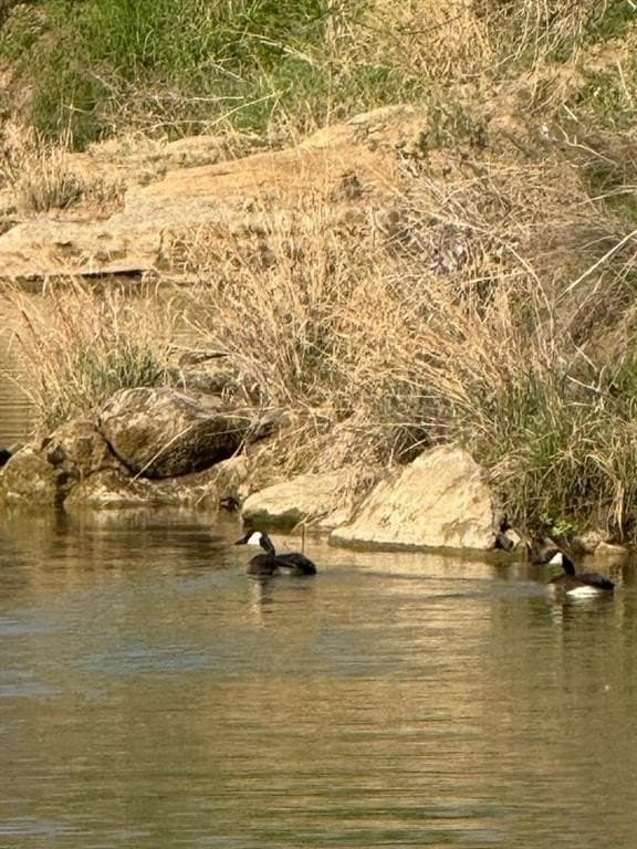 36.11 acres in Palo Pinto County featured view