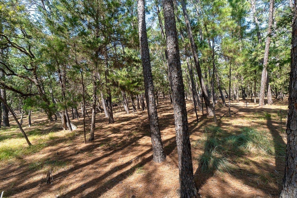 0.88 acres in Fayette County - photo 14