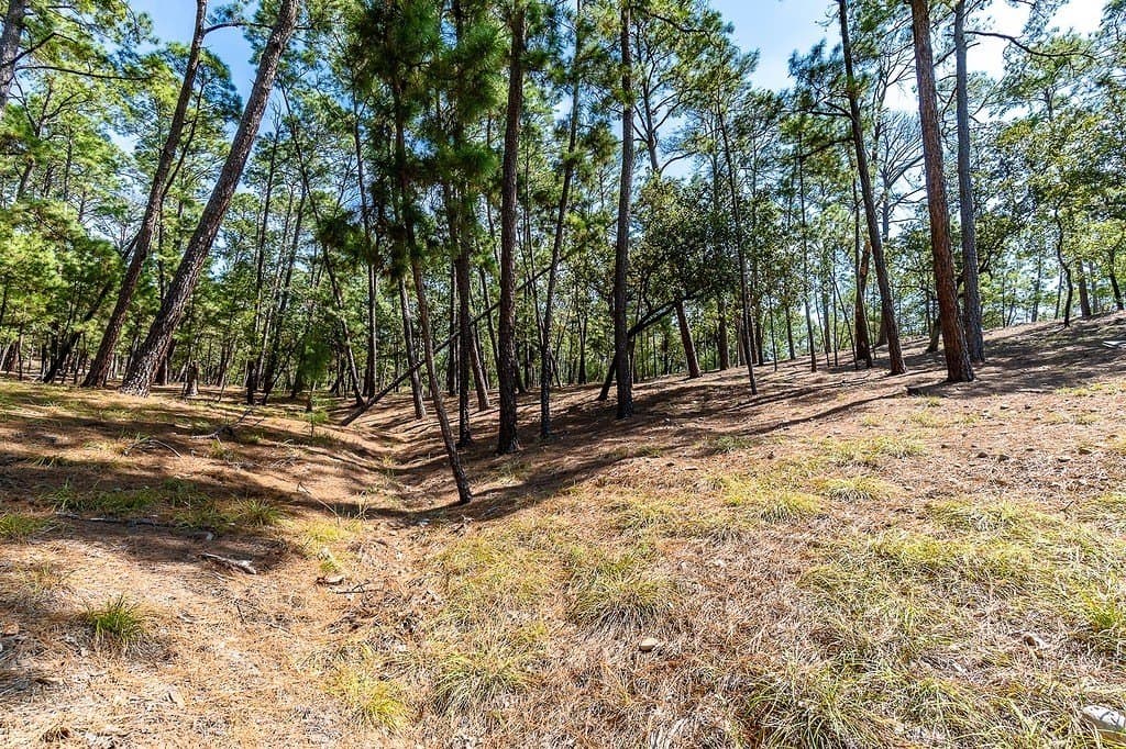 0.88 acres in Fayette County - photo 10