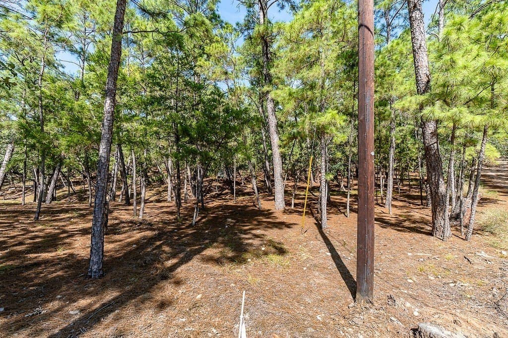 0.88 acres in Fayette County - photo 11