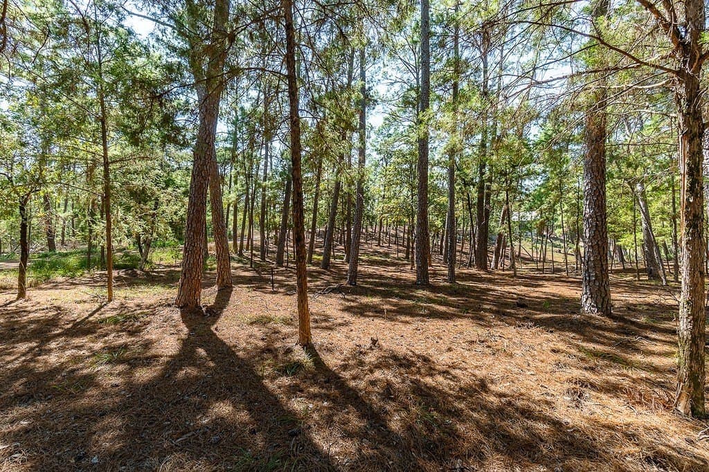 0.88 acres in Fayette County - photo 13