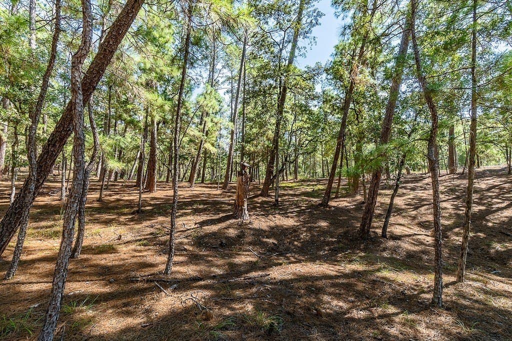 0.88 acres in Fayette County - photo 9