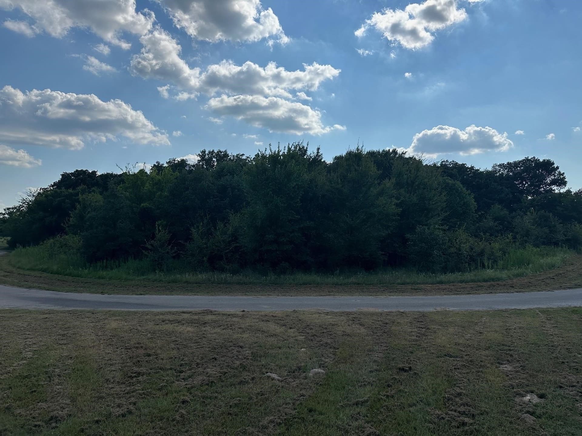 0.73 acres in Rains County - photo 5