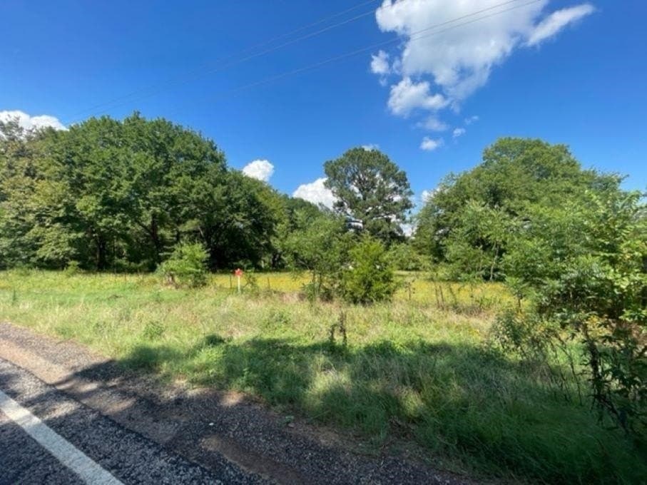 14.36 acres in Camp County gallery image 4