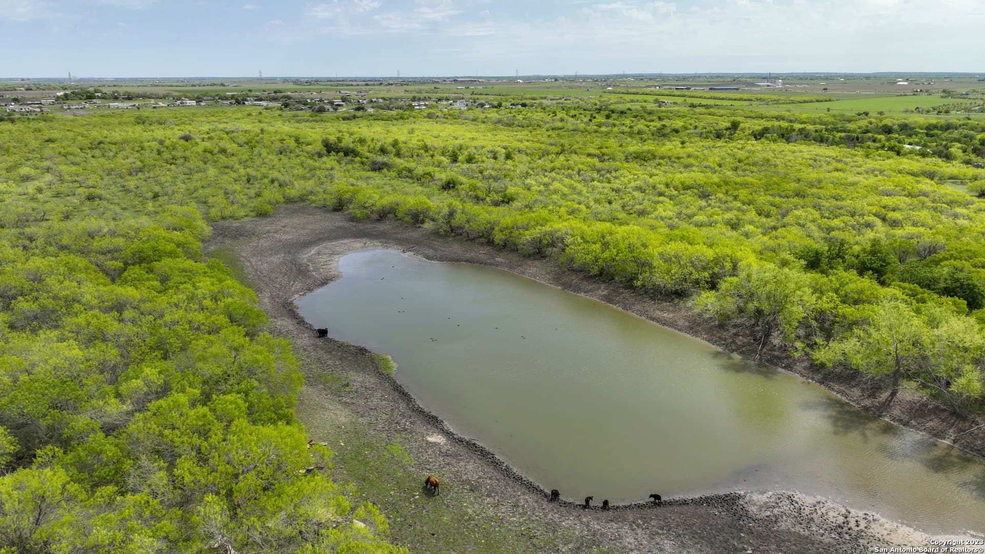183.18 acres in Guadalupe County - photo 9