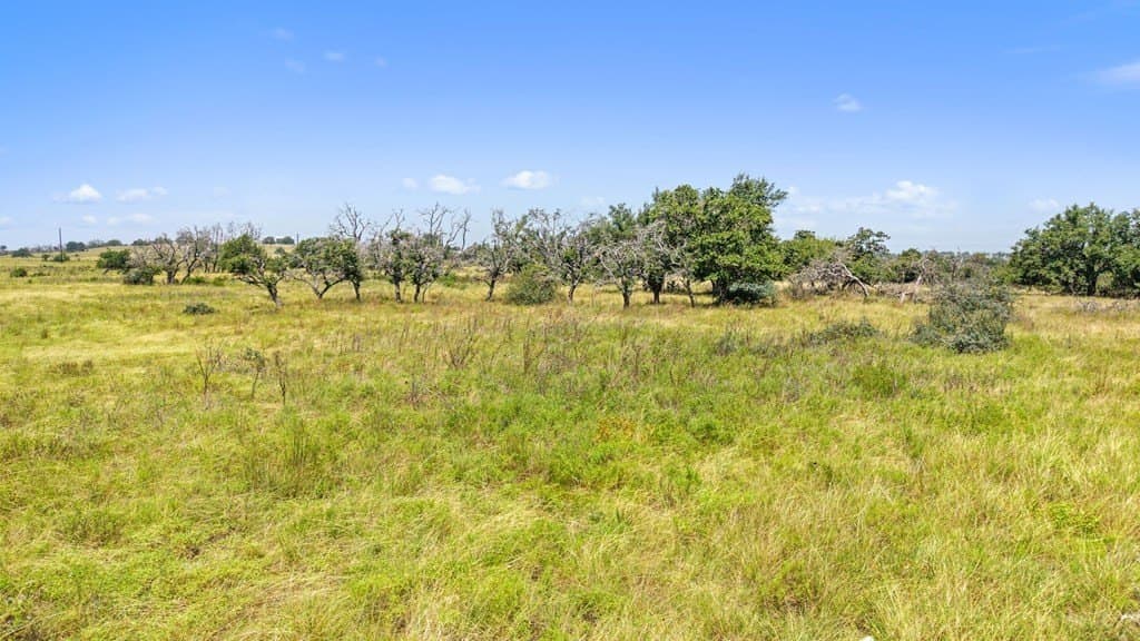 10.02 acres in Gillespie County - photo 18