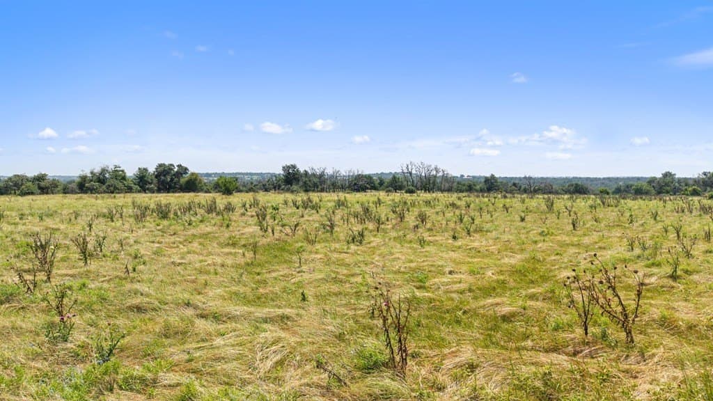 10.02 acres in Gillespie County - photo 20