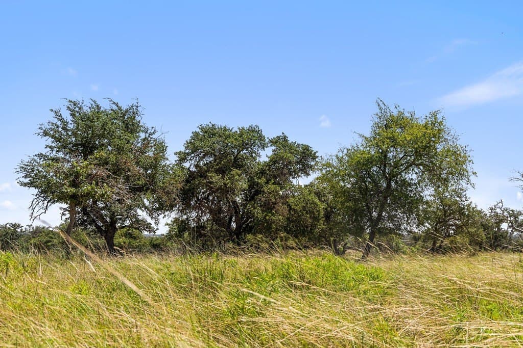 10.02 acres in Gillespie County - photo 33