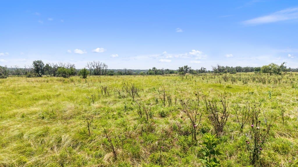 10.02 acres in Gillespie County - photo 26