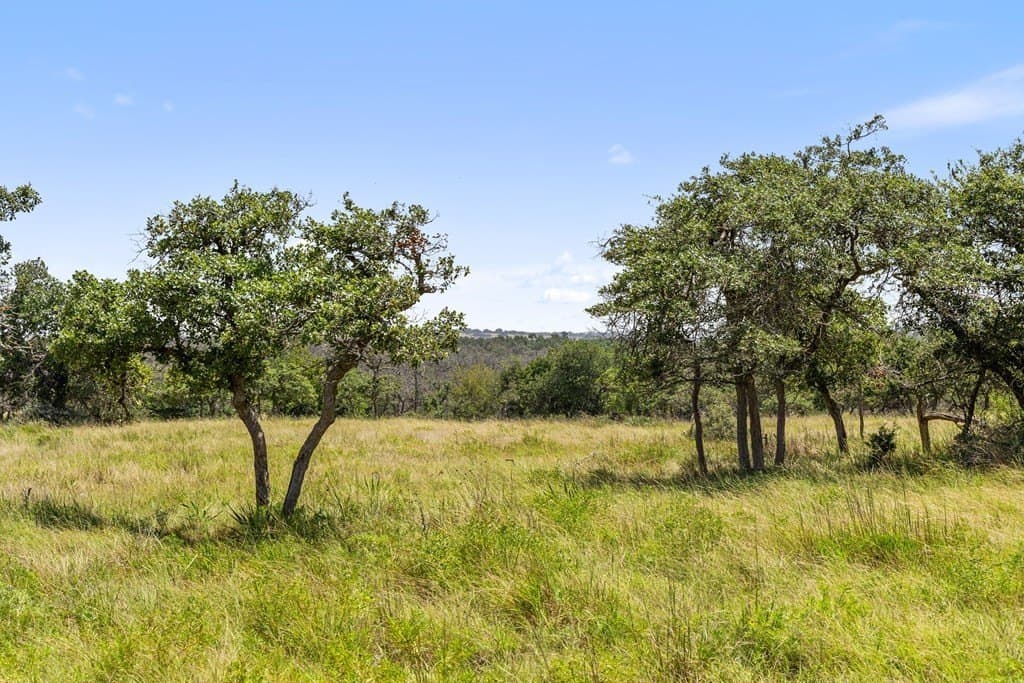 10.02 acres in Gillespie County - photo 29