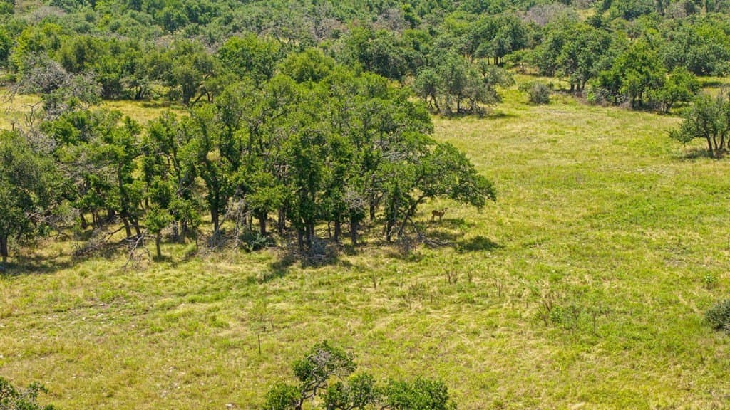 10.02 acres in Gillespie County - photo 15