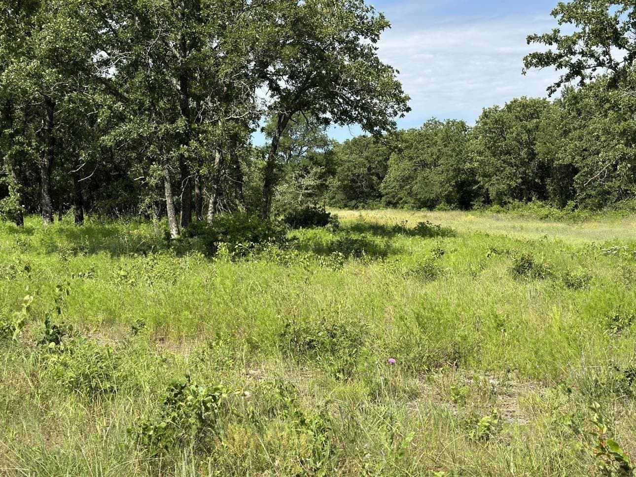 5.24 acres in Palo Pinto County featured view